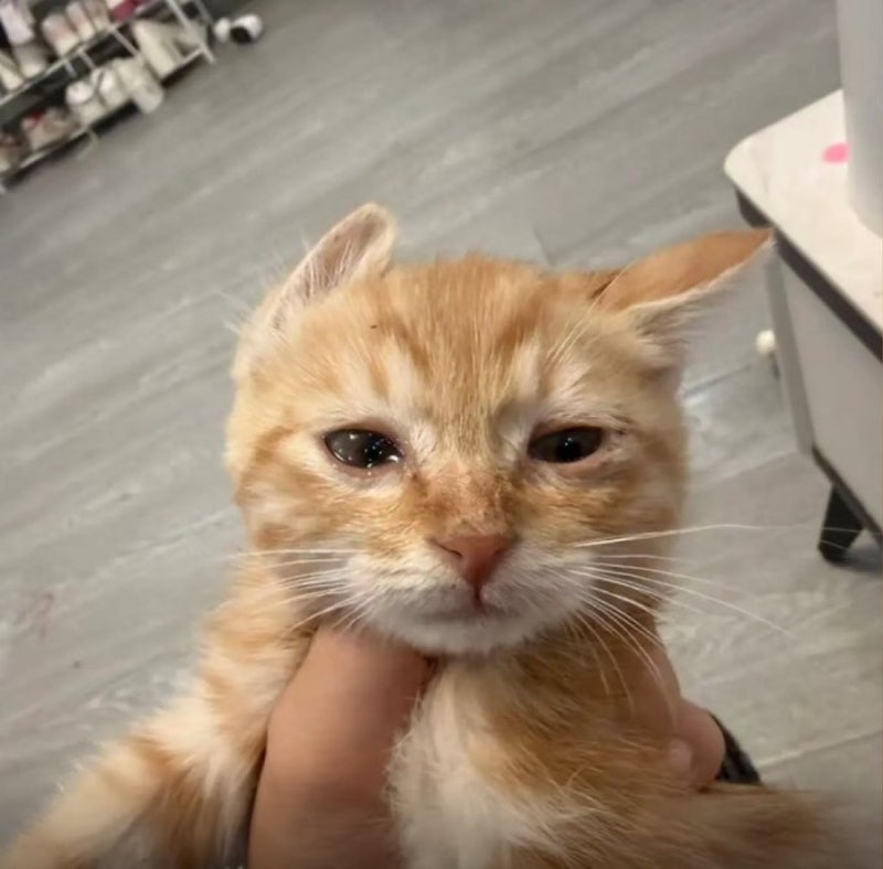 컴활 1급 필기 후기