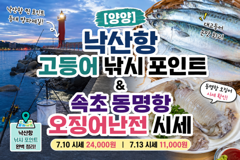 [양양] 강원도 낙산항 고등어 낚시 포인트 및 동명항 오징어난전 시세( 7.13 시세 포함)