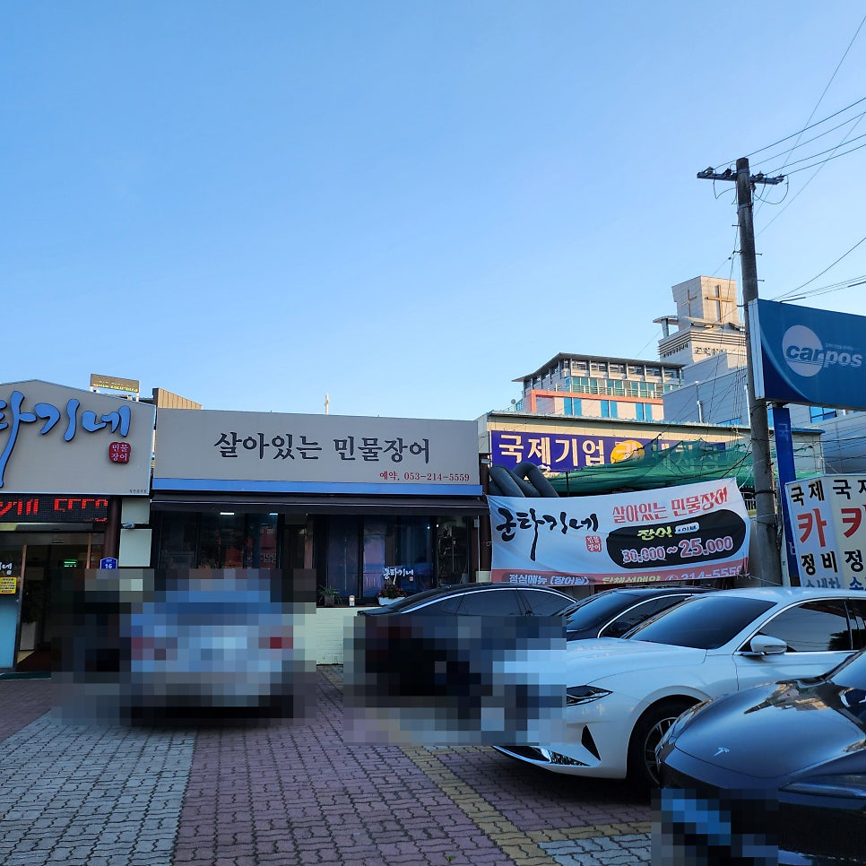 군타기네민물장어 사진 2