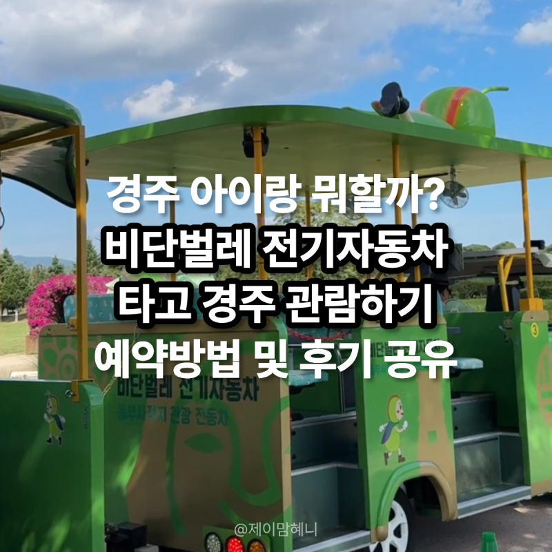 경주 아이랑 비단벌레 전동차 예약방법 및 관람 후기