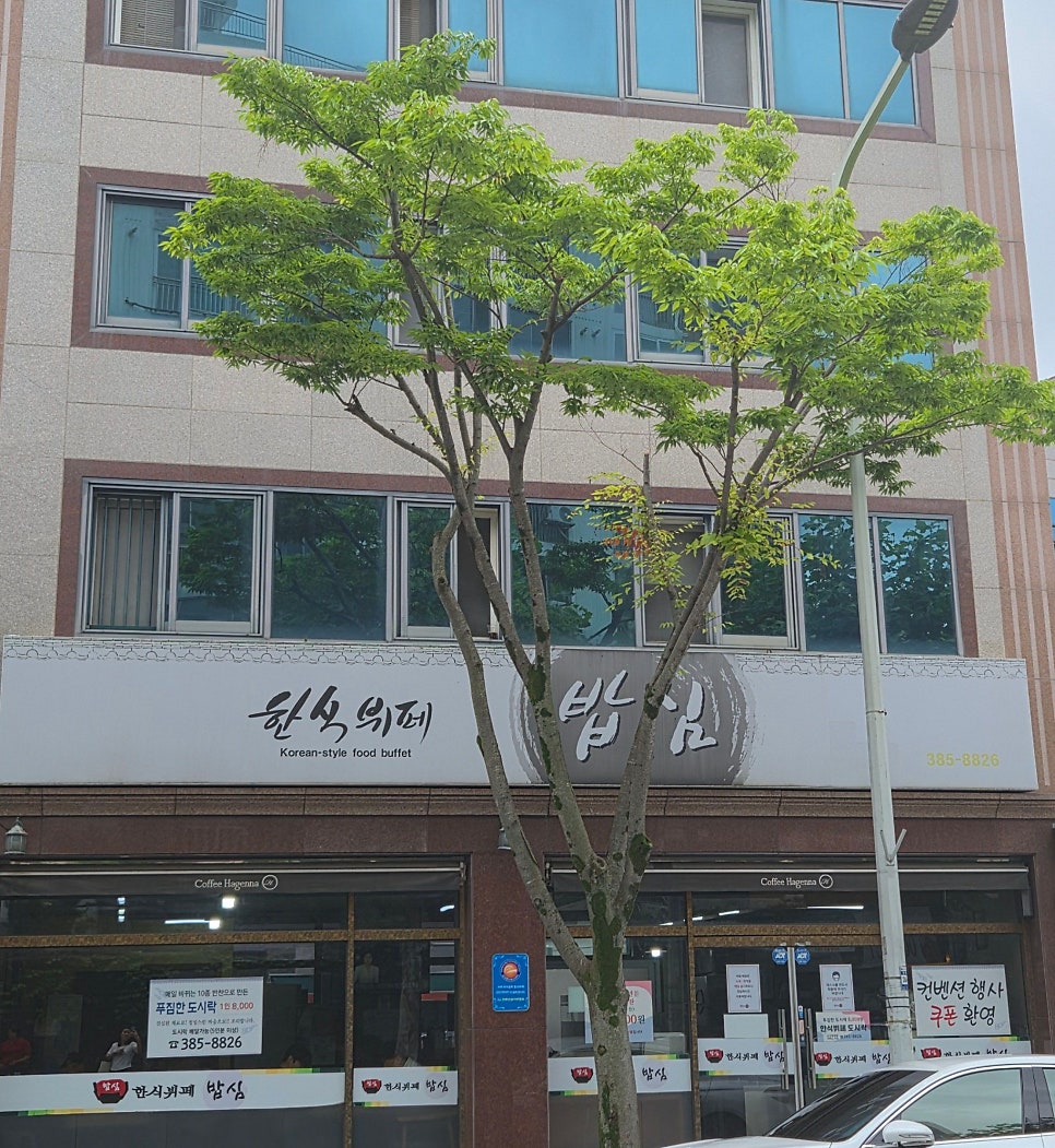 밥심 사진 3