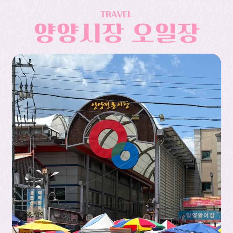 강원도 양양시장 오일장 먹거리 추천 주차