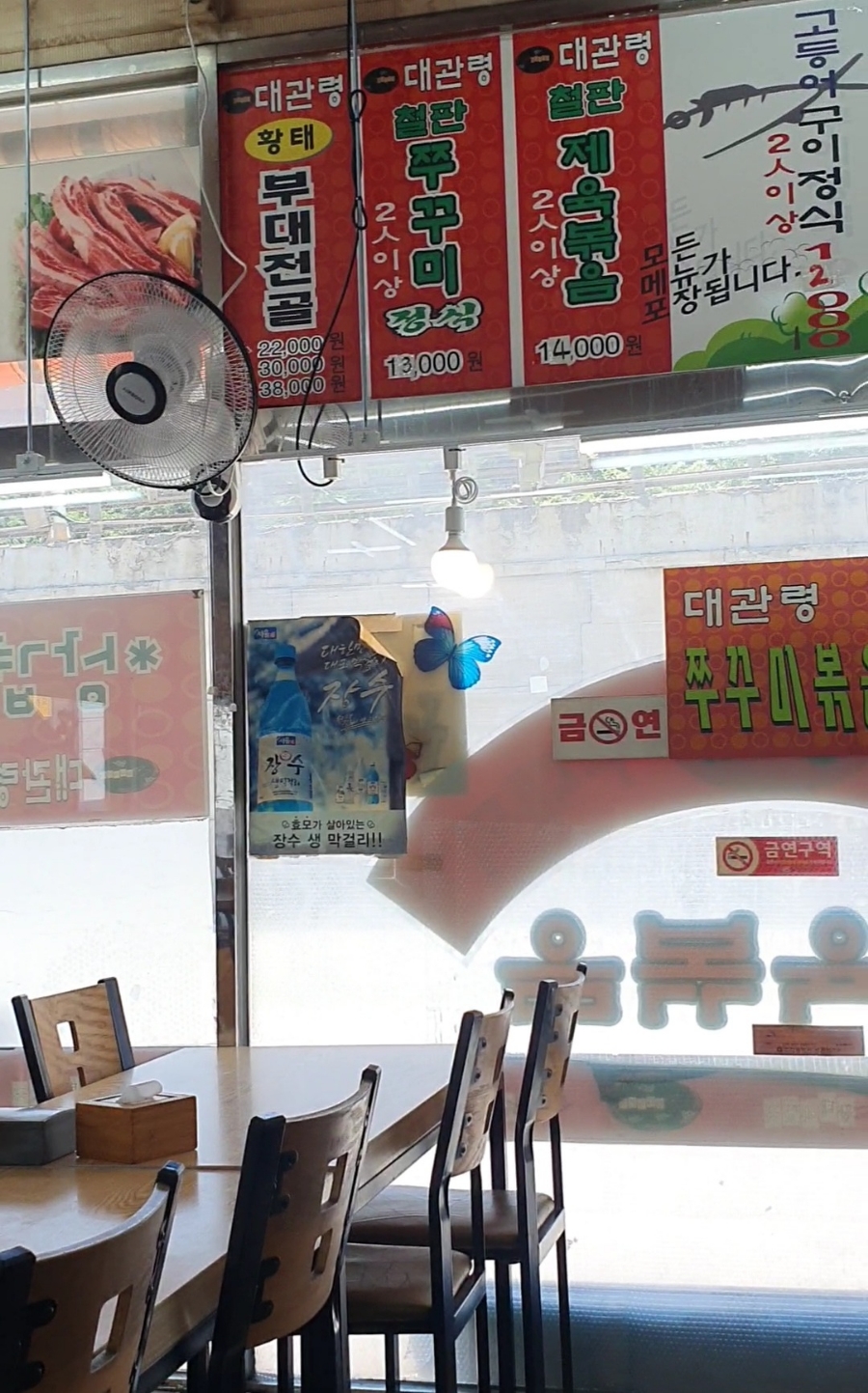대관령 사진 4
