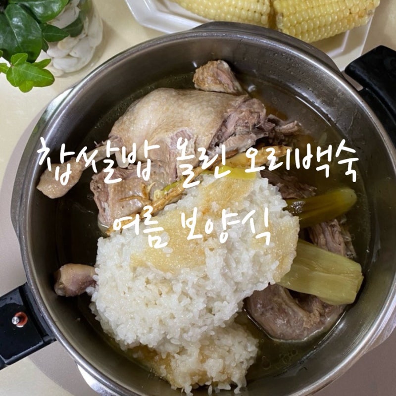 찹쌀밥 올린 오리백숙, 집에서도 푸짐하게 즐기는 보양식 레시피
