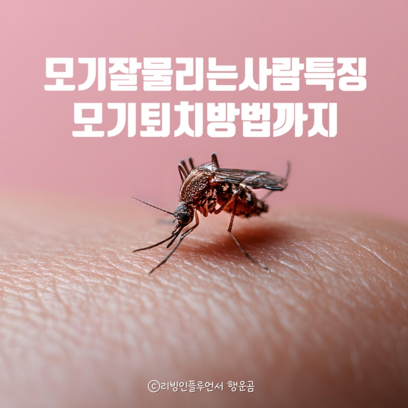 모기 잘물리는 사람 특징 총정리 모기 퇴치 방법 모기 기피제 팔찌 패치