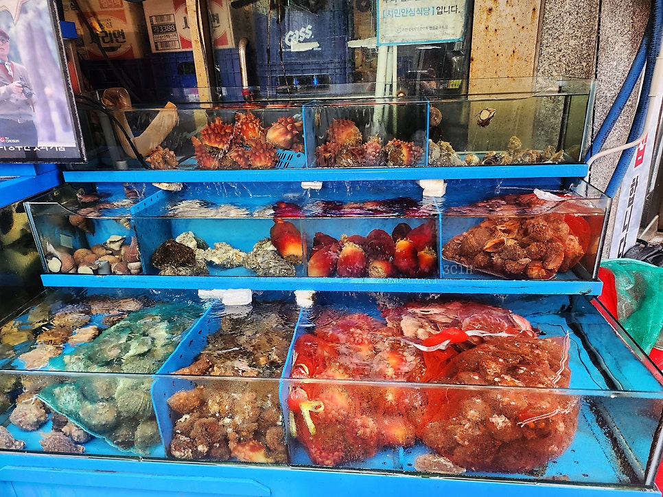 죽변항 사진 4