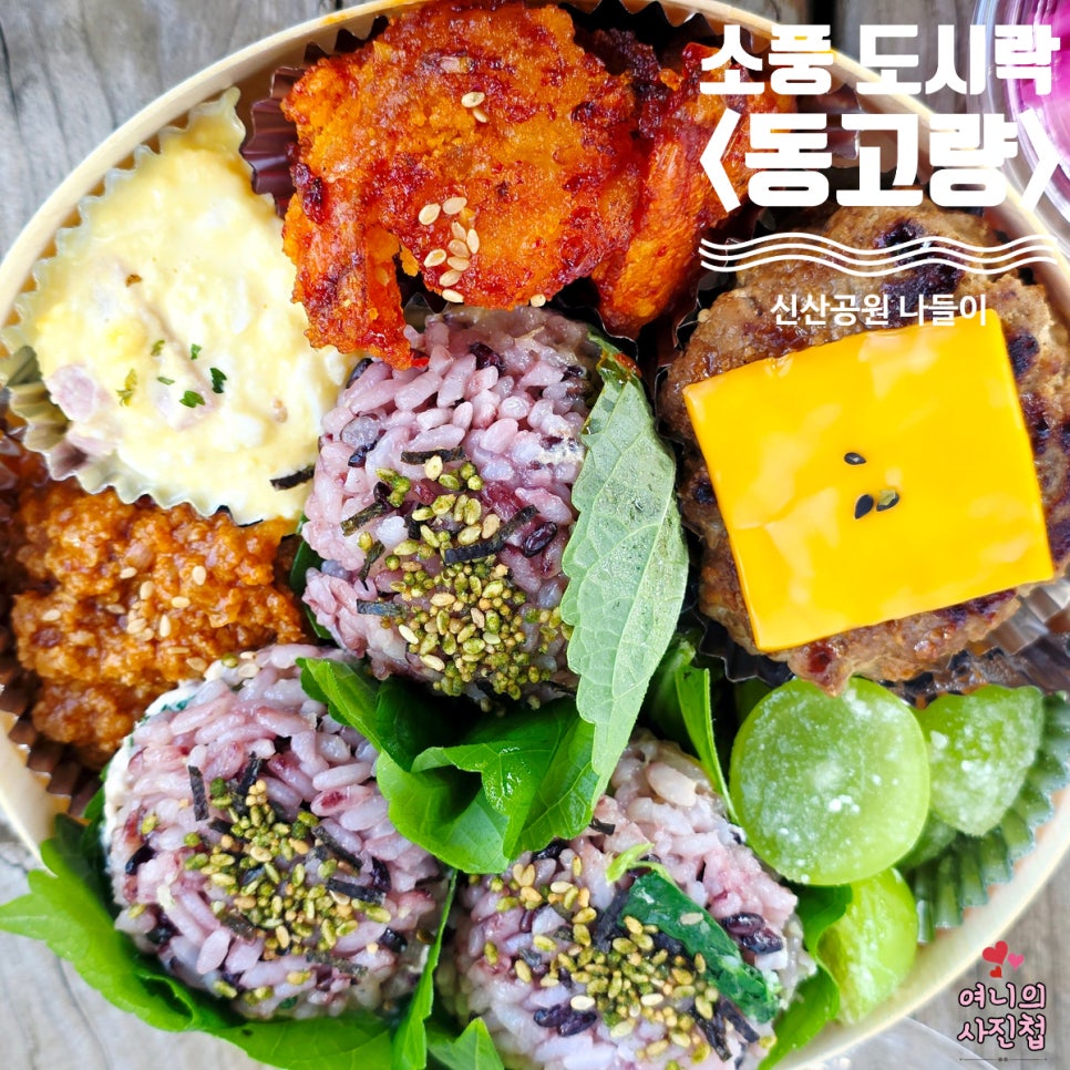 동고량 사진 1
