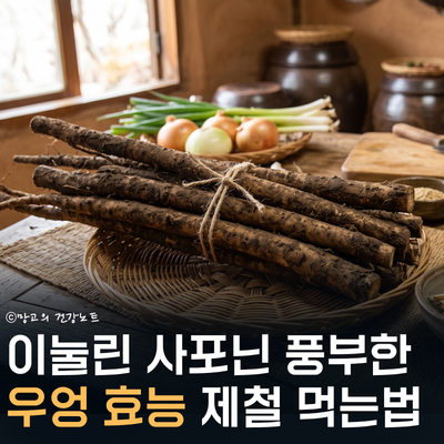 모래밭 산삼 우엉 효능 '이런 분들' 꼭 드세요! | 부작용, 영양성분, 우엉차 등 먹는법