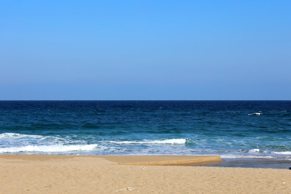 정동진항구회센타 사진 1