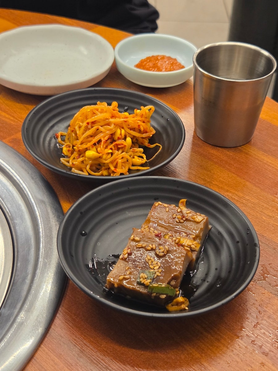 도야지 사진 5