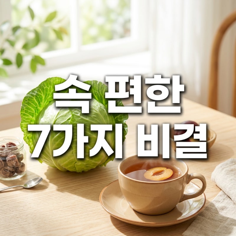 장염에 좋은 음식 7가지와 피해야 할 음식 완벽 가이드