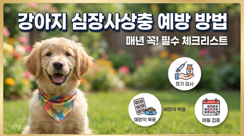 기초연금 재산 기준 계산법, 집 한 채 있어도 받을 수 있을까? 헷갈리는 재산 평가 방식 완벽 ....
