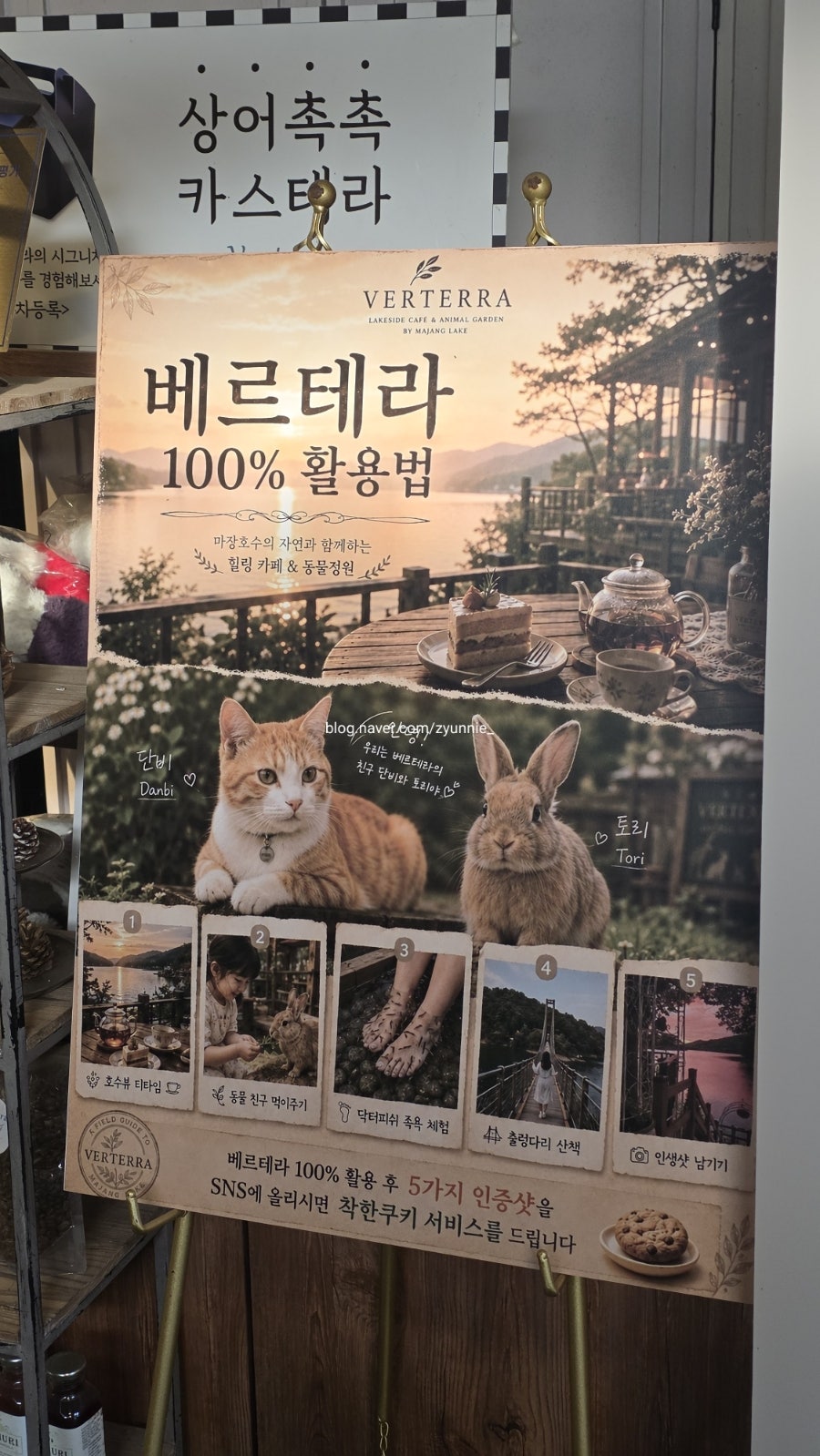 베르테라 사진 5