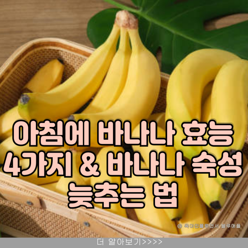 아침에 바나나 효능 숙성 늦추는 법! 냉장보관 해도 될까?