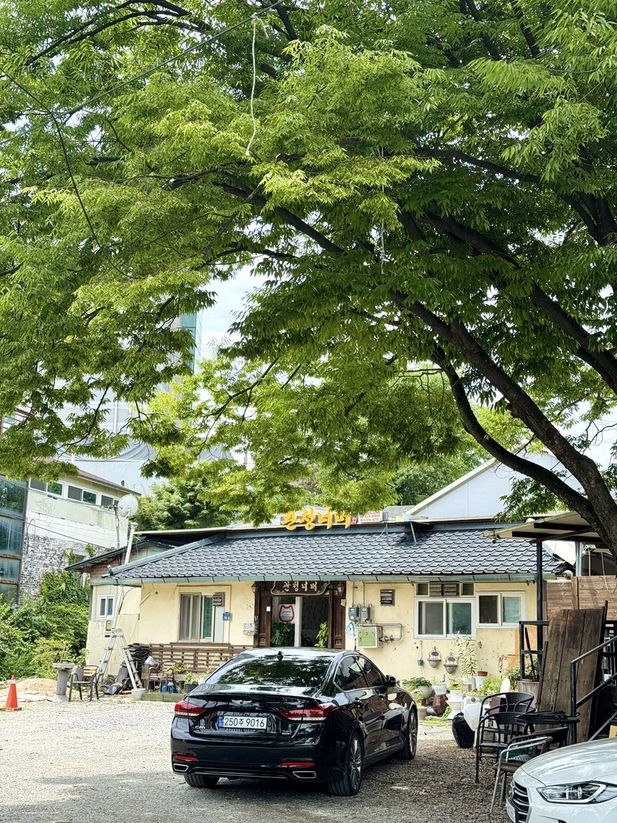 관청너머 사진 4