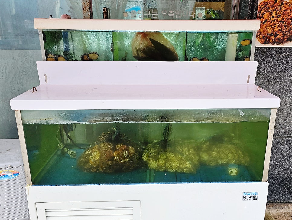 동해통문어칼국수 사진 2
