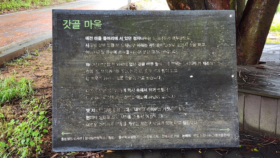 갓골 사진 1