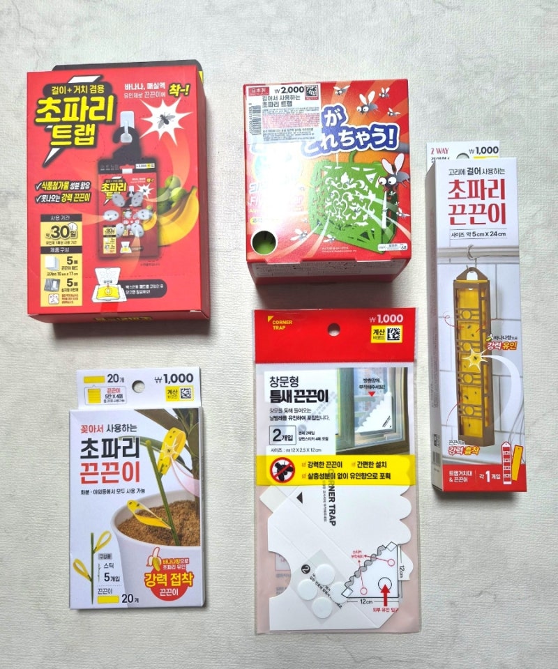 다이소 여름 추천템 끈끈이 초파리 트랩 5가지