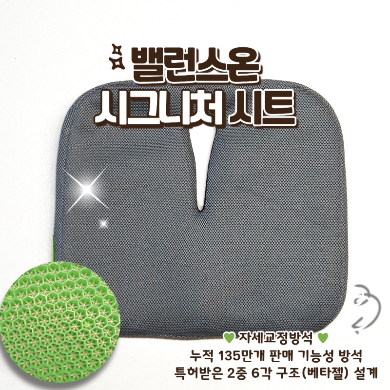 수험생방석 추천 밸런스온 시그니처 시트 체중분산방석 자세교정 후기