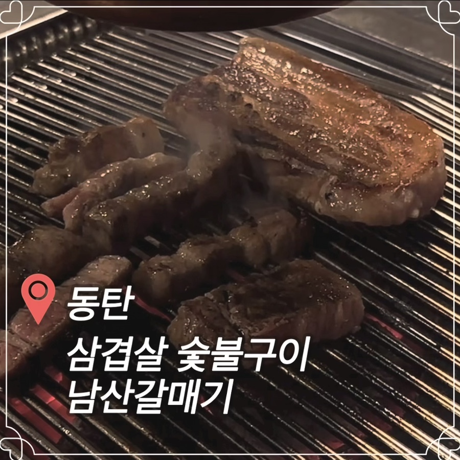 남산갈매기 사진 1