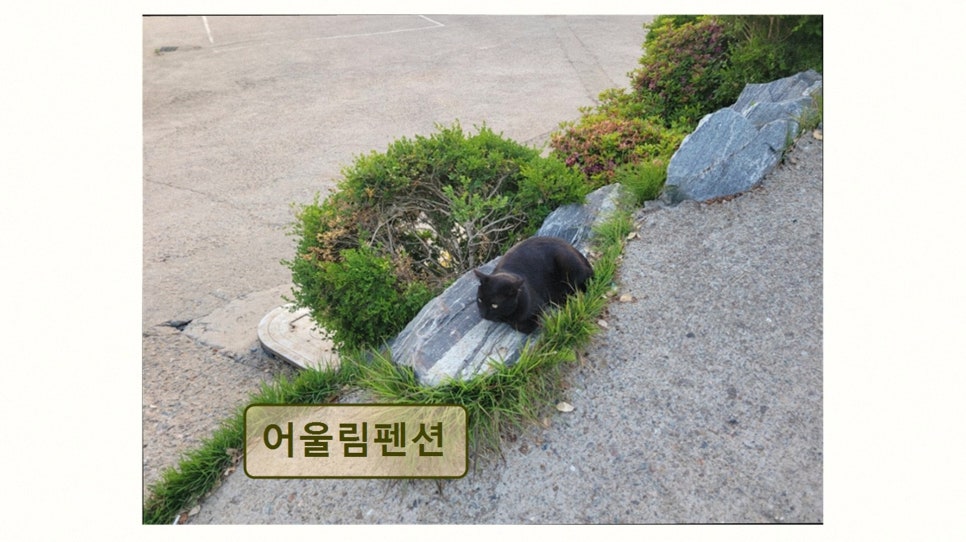 어울림펜션 사진 3