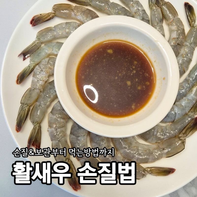 싱싱한 노지활새우 제철 구매팁 보관방법 생새우회 손질