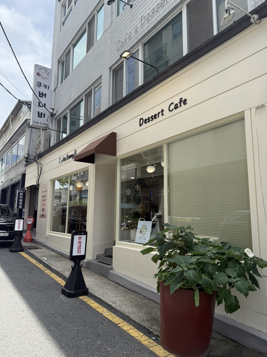 쿠키버니비 사진 2