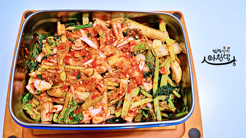 여름김치 열무김치 + 얼갈이김치 맛있게 담그는 방법 (찬밥+물고추) 억센 열무 부드럽게