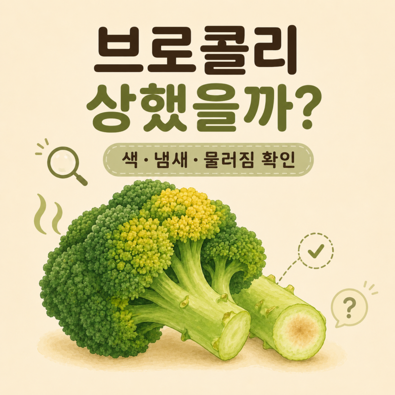 브로콜리 상했을까? 색·냄새·물러짐 확인 기준