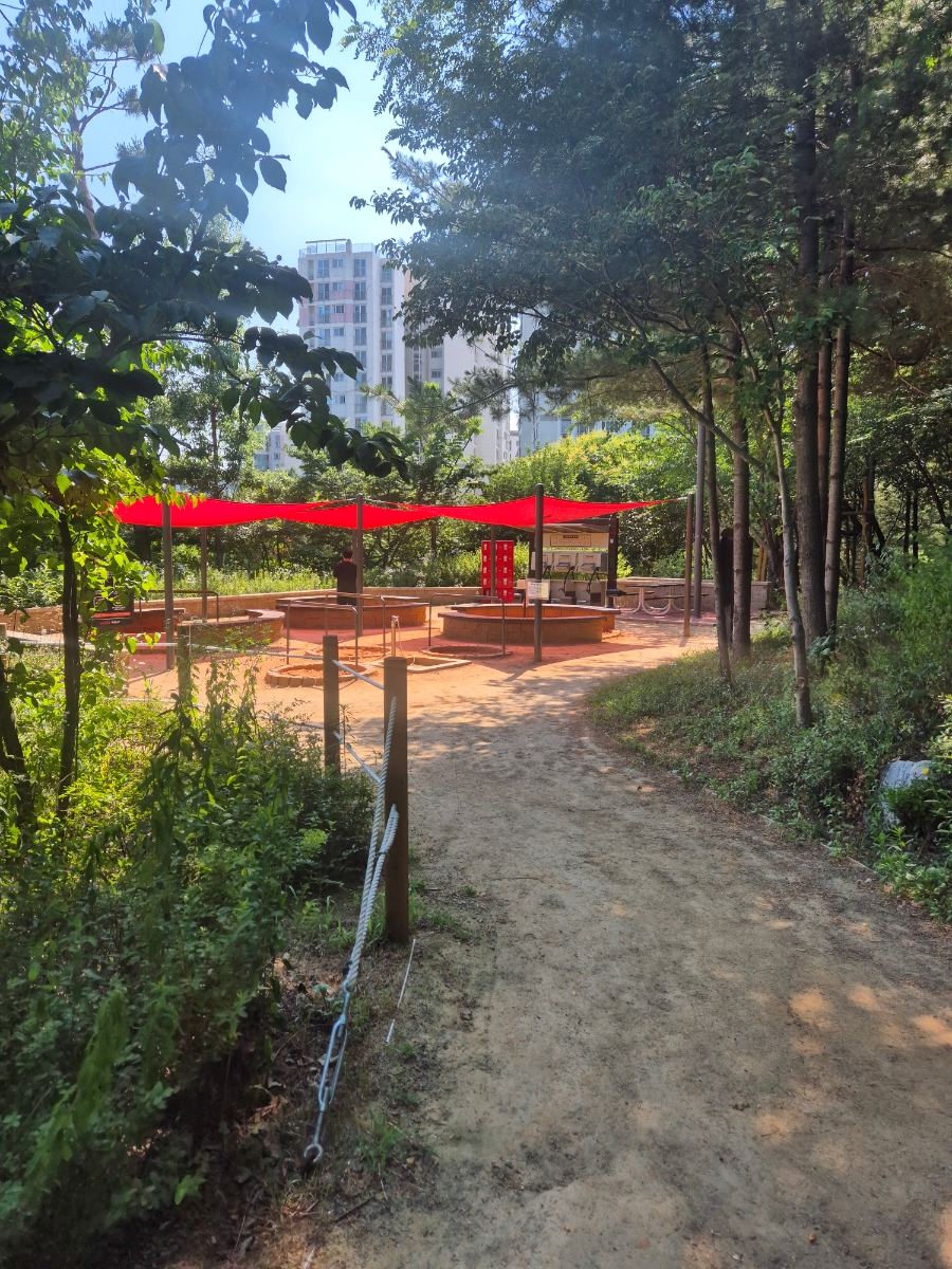 황톳길 사진 5