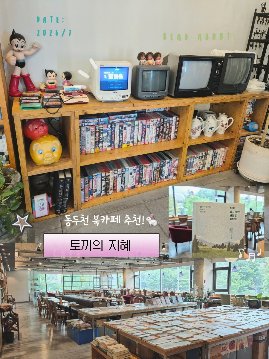 북카페 토끼의지혜 사진 1