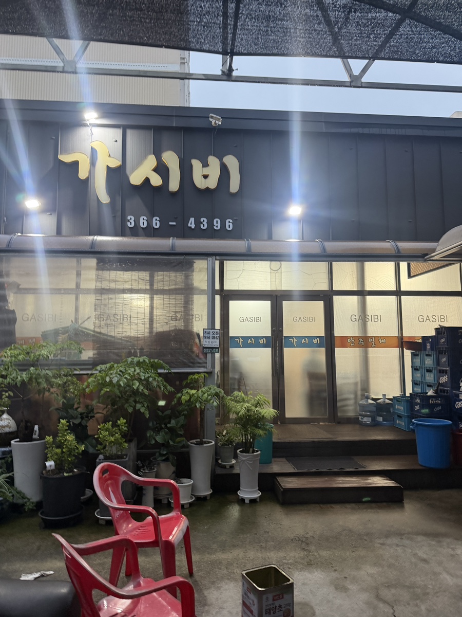 가시비 사진 1