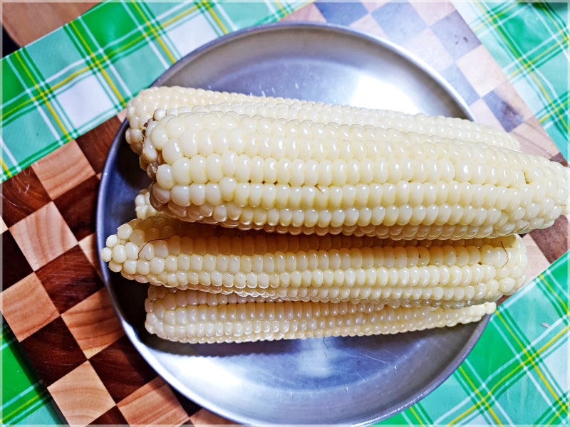 2026년 강원도 찰옥수수 직거래 판매, 횡성옥수수 판매,미백찰옥수수 산지직송,맛있게 옥수수....