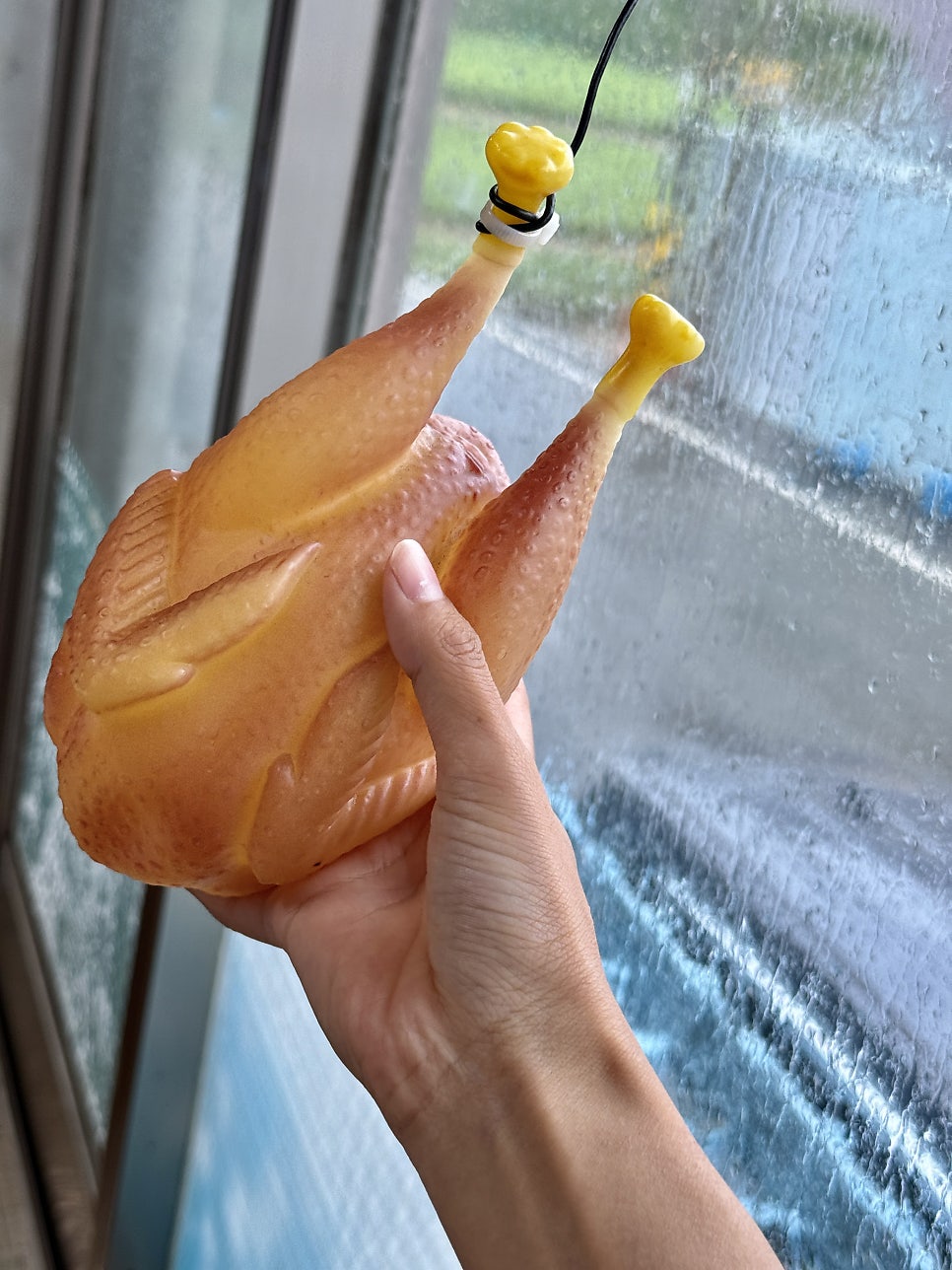 팔팔팔숙이네 사진 3