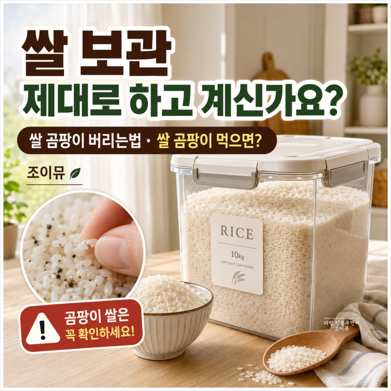 쌀 보관 제대로 하고 계신가요? 쌀 곰팡이 버리는법, 먹으면 어떻게 될까