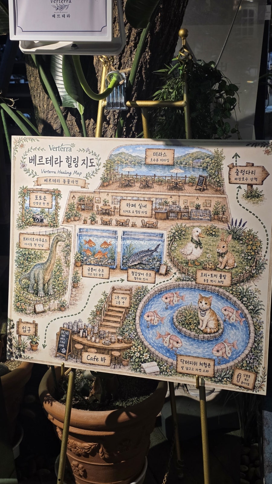 베르테라 사진 4