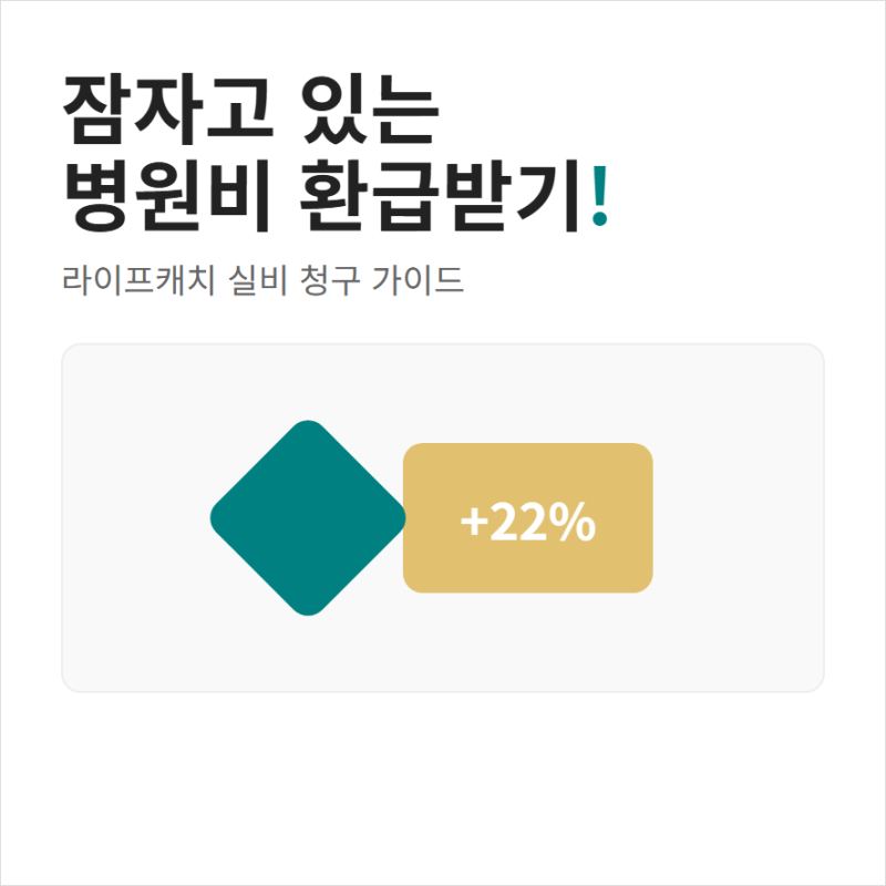 라이프캐치 환급 방법과 기간 수수료 후기