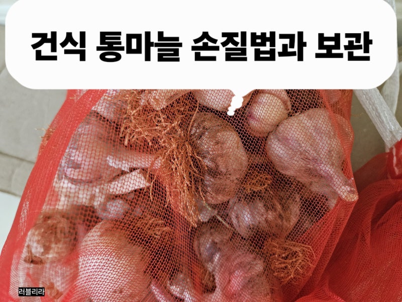 [건식 통마늘 손질법][마늘 껍질째 저장하는 방법][마늘 껍질째 김치냉장고 보관하는 팁][아....