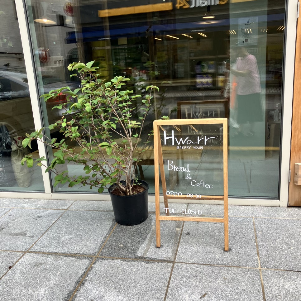 화르르 사진 2