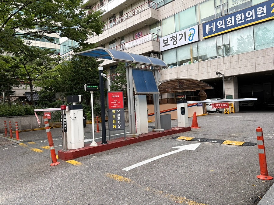 모락 사진 2