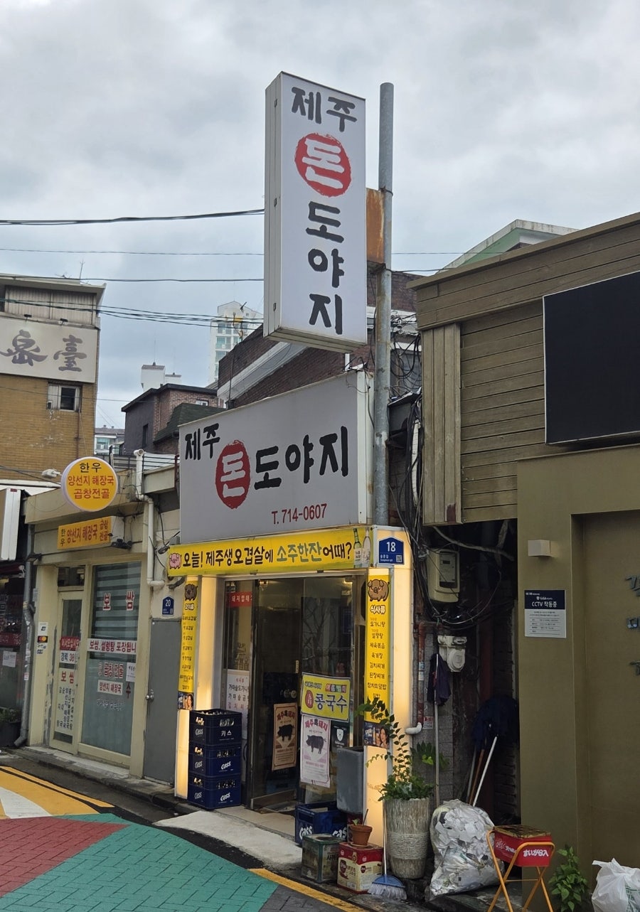 도야지 사진 1
