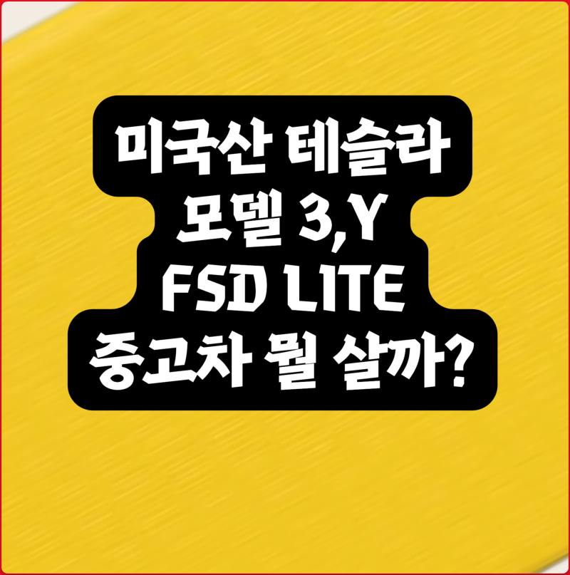 테슬라 FSD Lite 국내 적용 총정리, 엔카에서 중고차 뭘 사야할까?