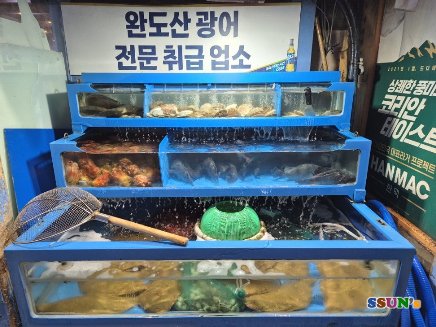 오징어세상 사진 3