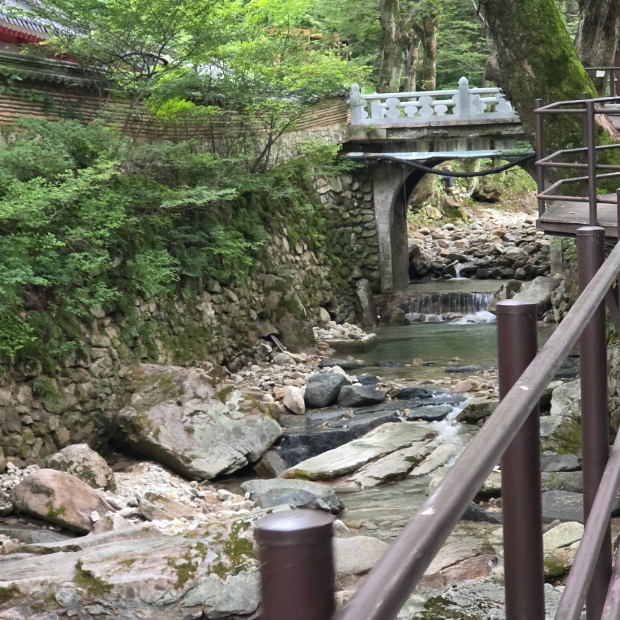 동학 사진 5