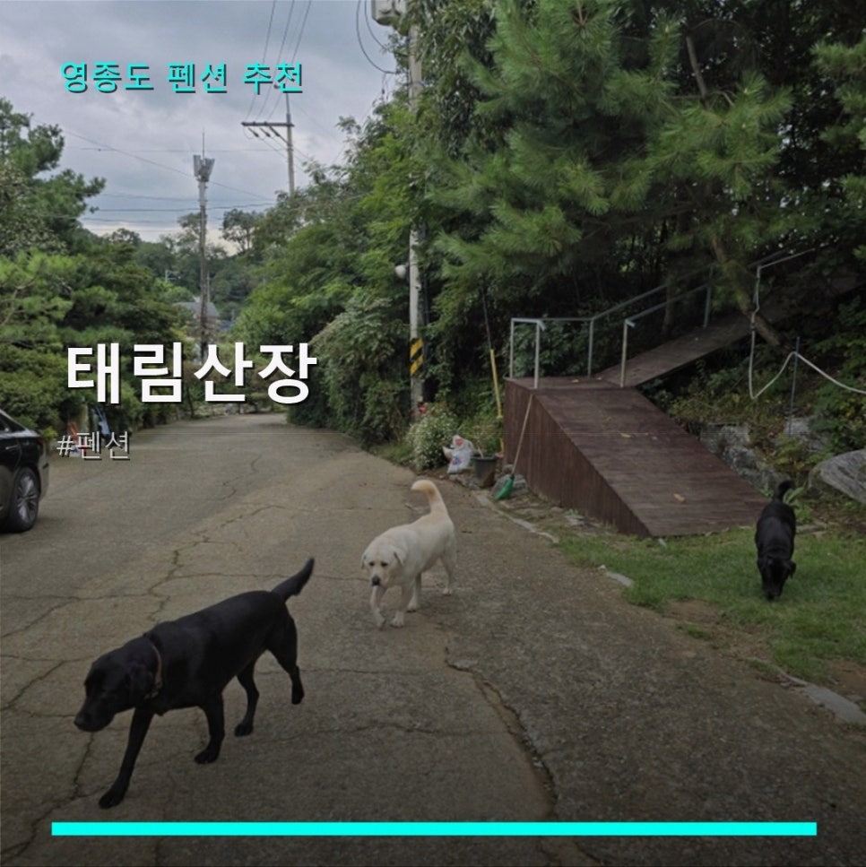 태림산장 사진 1