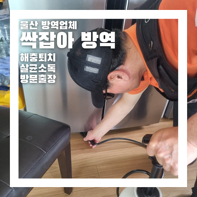 벌레 때문에 울산방역업체 싹잡아 방역에 출장방역 부른 후기