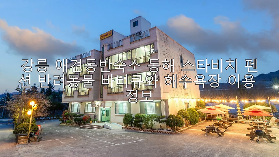 스타비치펜션 사진 1