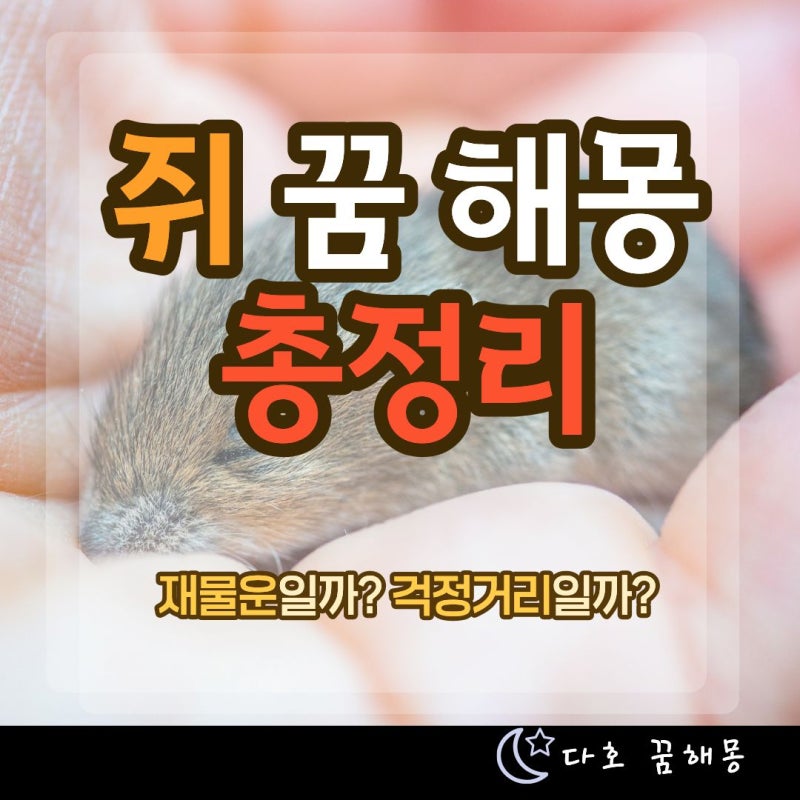 쥐꿈 해몽 총정리｜흰쥐·검은쥐·쥐 잡는 꿈·죽은 쥐 꿈까지 상황별 해석