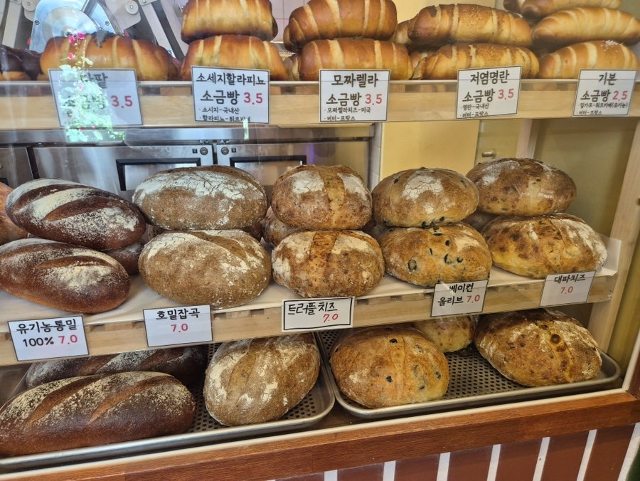 재제 사진 5