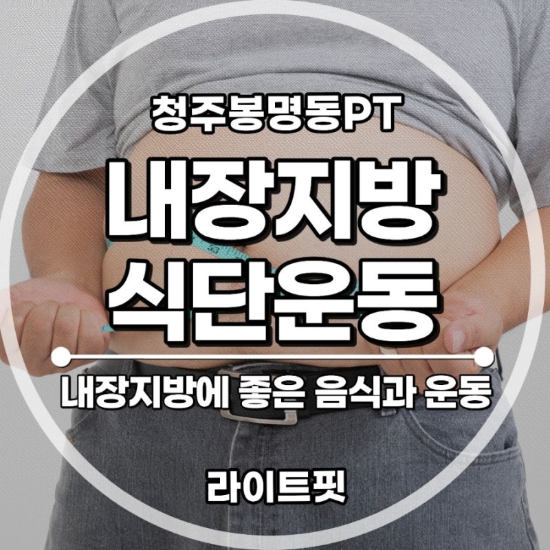 청주 봉명동 PT 내장지방 빼는 방법 ! 내장지방 레벨 낮추는 운동과 식단 총정리